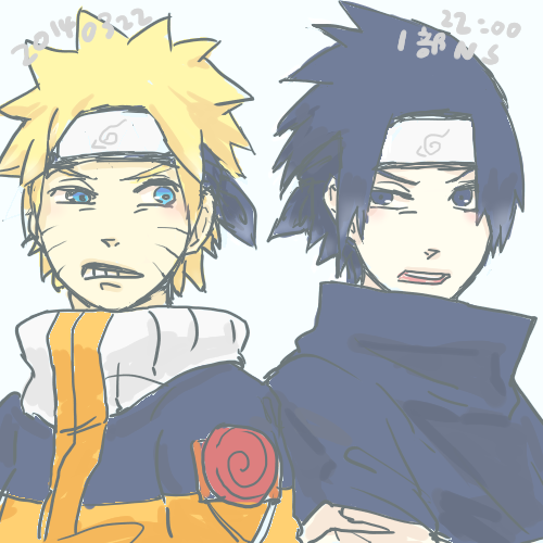 2014年のナルサス耐久ログ