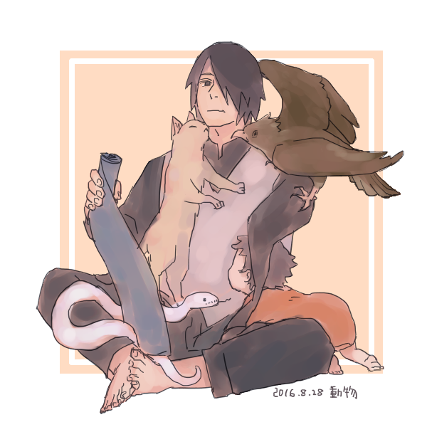 2016年のおっちゃん耐久ログ